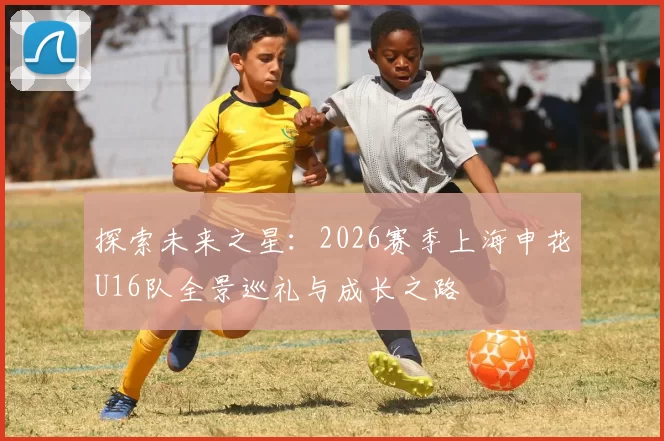 探索未来之星：2026赛季上海申花U16队全景巡礼与成长之路