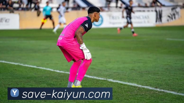 开云体育APP 封面图