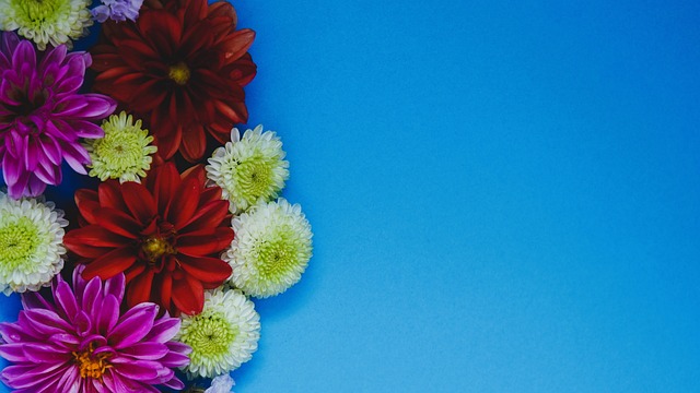 目标球员标 目标球员标