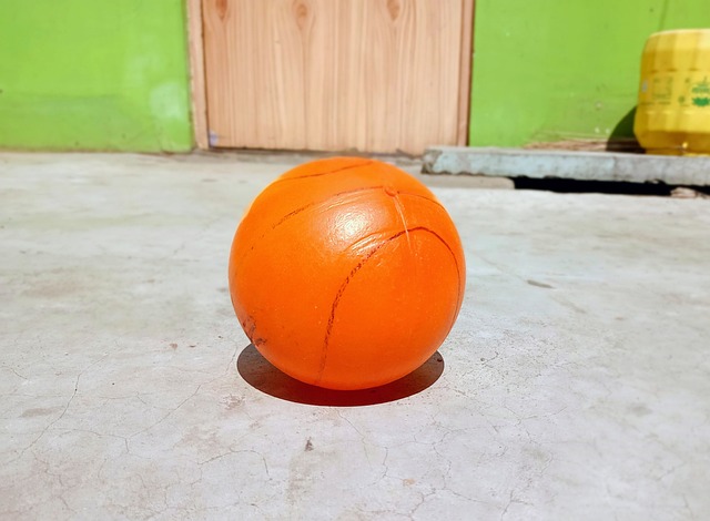 都将为观众 都将为观众