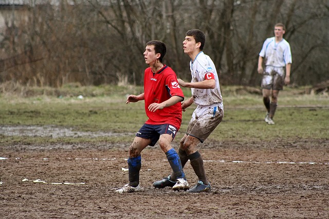 得愈发重要 得愈发重要