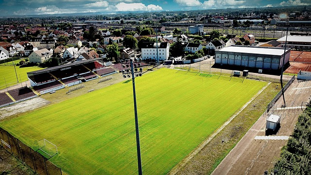 体现了教练 体现了教练