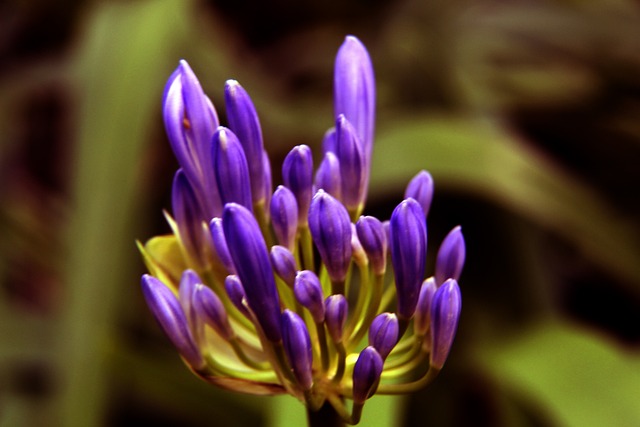 进行了系统 进行了系统