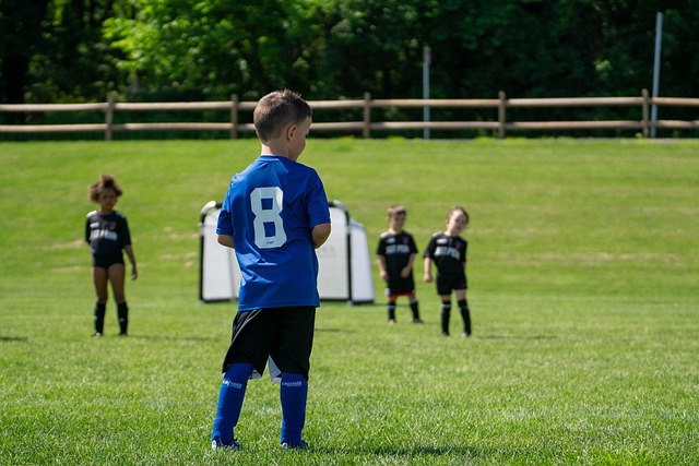 他们逐渐倾 他们逐渐倾