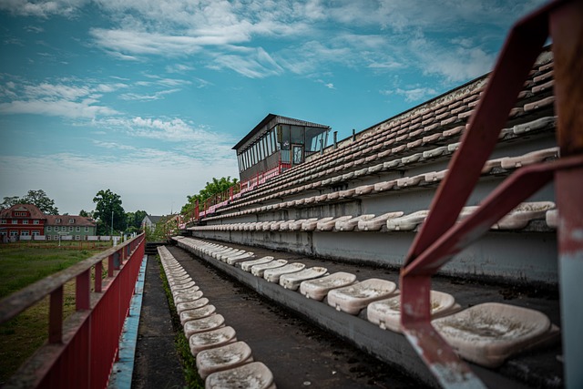 真正作用究 真正作用究