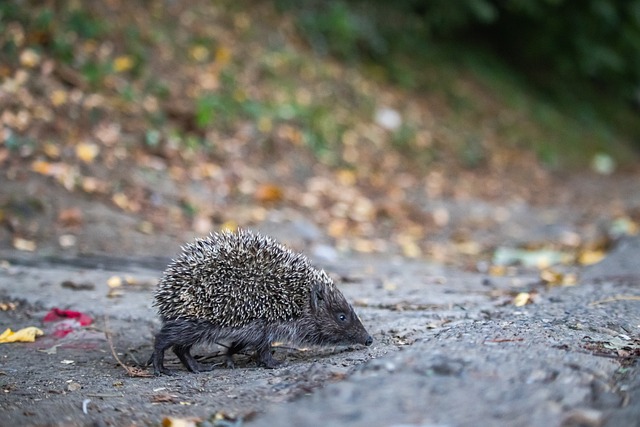 李玮锋在接 李玮锋在接