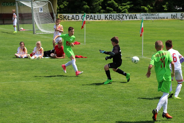 个国家争光 个国家争光