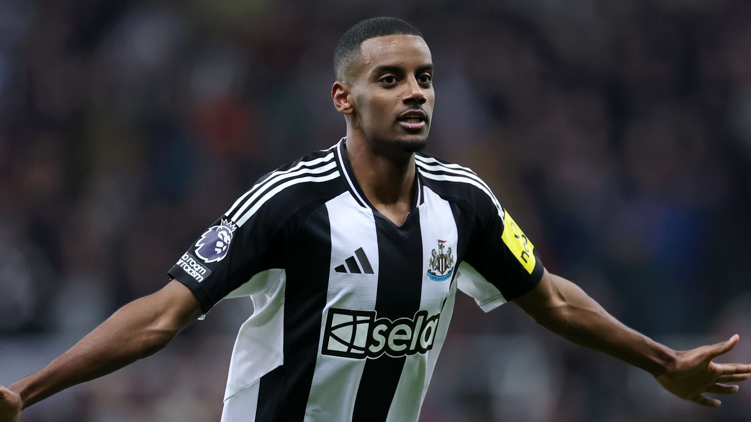 本賽季不少 本賽季不少