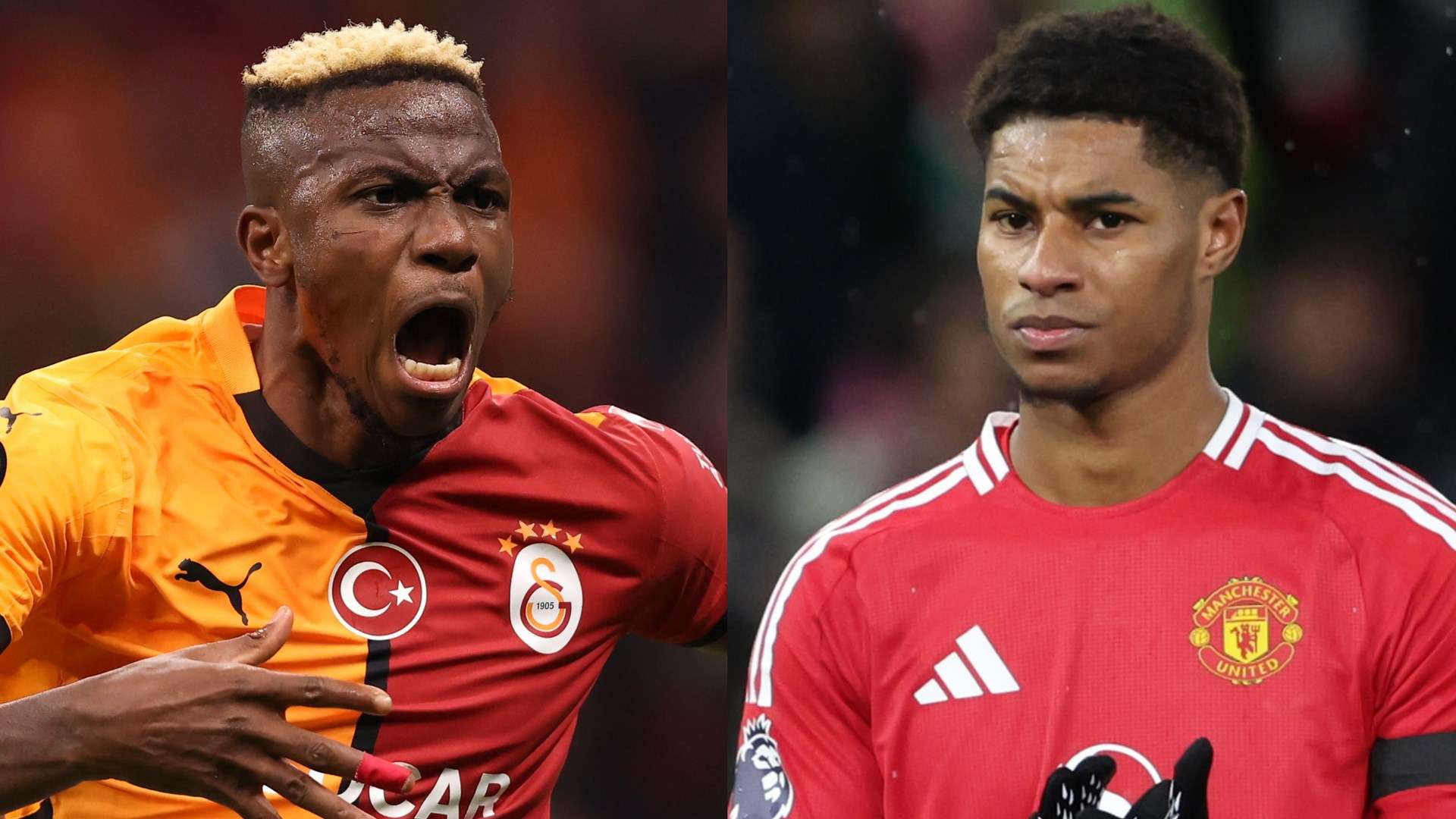 重回巅峰的 重回巅峰的