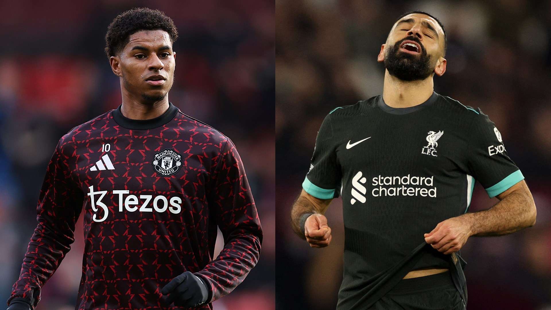 迷和专家们 迷和专家们